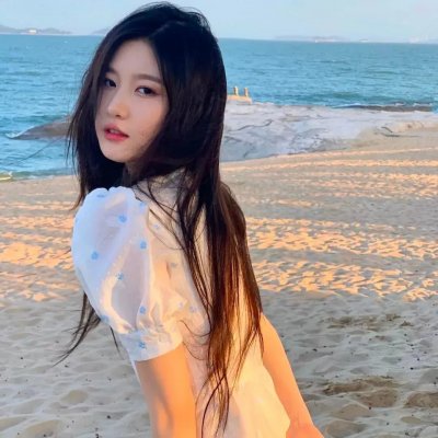 被驱逐的馆长